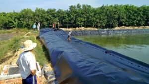 Bạt Lót Hồ Nuôi Tôm