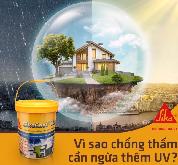 Lăn sơn chống thấm dột 