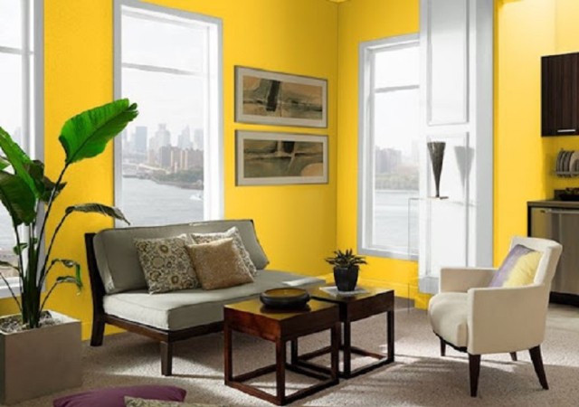 Thiết kế không gian quán hiện đại với màu Mayan Yellow