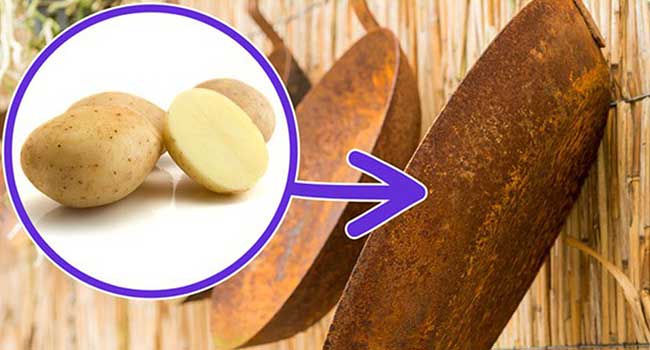 cách thức tẩy vết rỉ sét trên kim loại bằng khoai tây