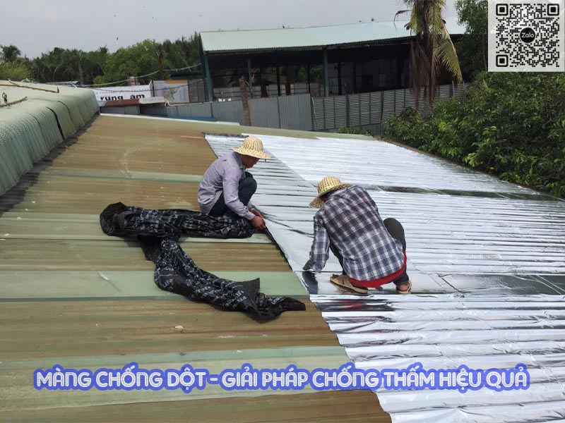 Các tính năng của màng chống dột