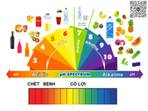 Độ pH là gì?