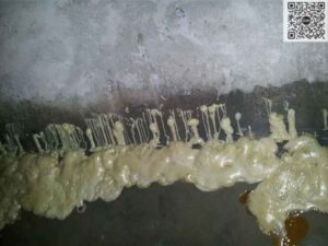 Địa Chỉ Bán Keo Xử Lý Nứt Bê Tông PU Trương Nở Chống Thấm