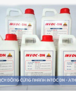INTOC DN | Chống Thấm Ngược Đông Cứng Nhanh