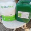 LEAFSEAL WP502 | Màng Chống Thấm Gốc Xi Măng Cao Cấp