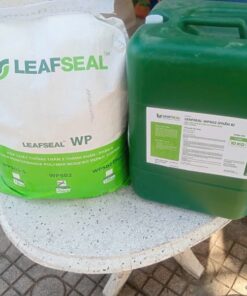 LEAFSEAL WP502 | Màng Chống Thấm Gốc Xi Măng Cao Cấp