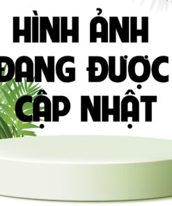 SikaGrout-9400 | Vữa Không Co Ngót, Gốc Xi Măng