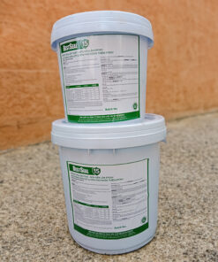 BestSeal 15 | Sàn Nhám & Sàn Tự San Phẳng Epoxy